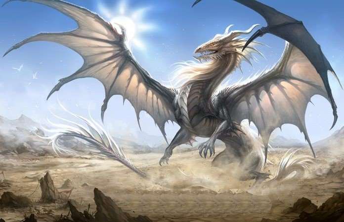 DEKOR DRAK 02
