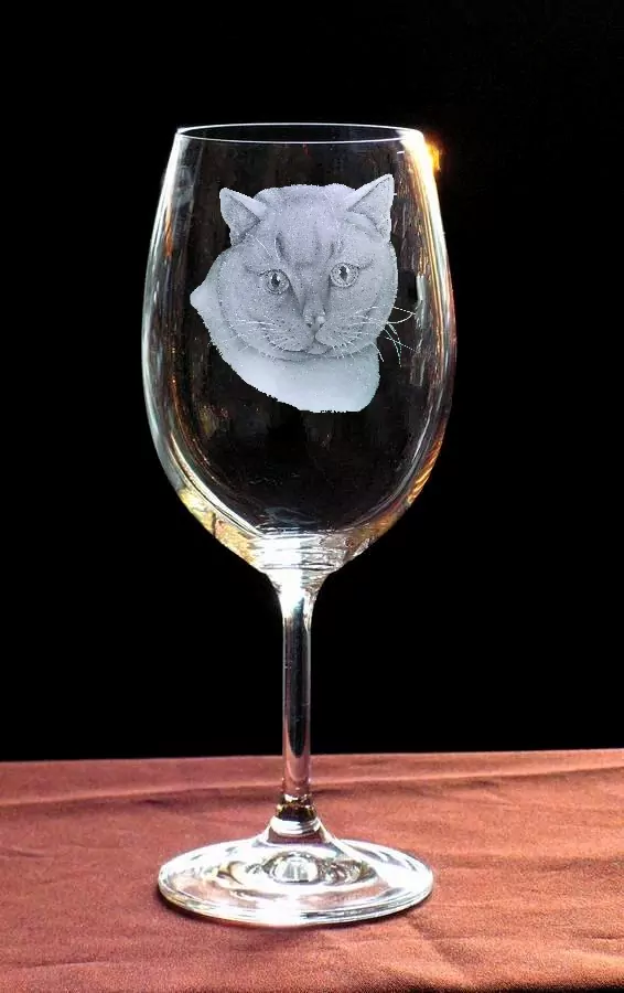briská kočka sklenice na víno 450ml