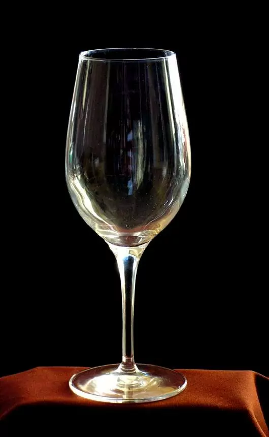 PLACHETNICE 01, VINNÁ SKLENICE 500ml