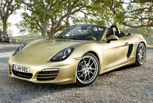 DEKOR 06 Porsche Boxster 981 VISKOVKA KLASIK