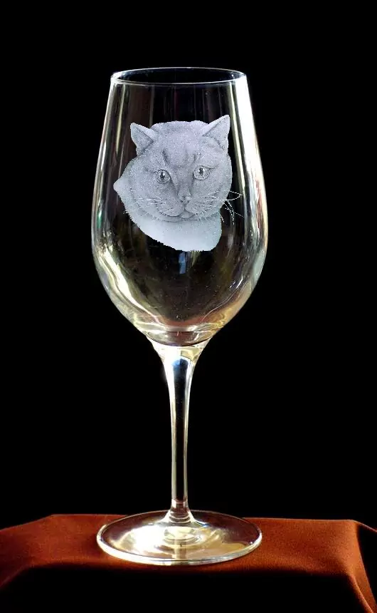 briská kočka sklenice na víno 450ml