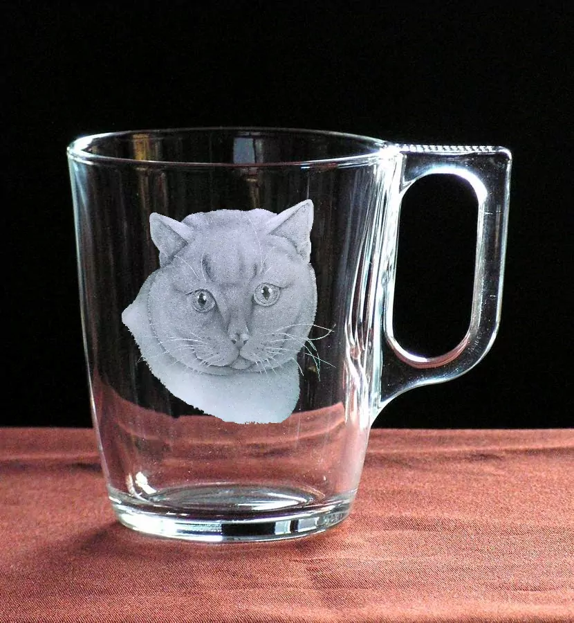 briská kočka sklenice na víno 450ml