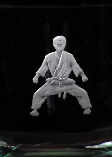 BOJOVÁ UMĚNÍ - KARATE 01 NA SKLENICI NA VI