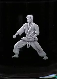 BOJOVÁ UMĚNÍ - KARATE 04