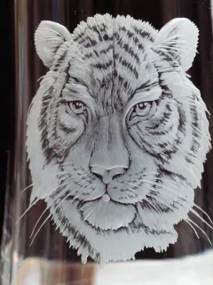 DEKOR RYTÝ TYGR 01, na půllitry